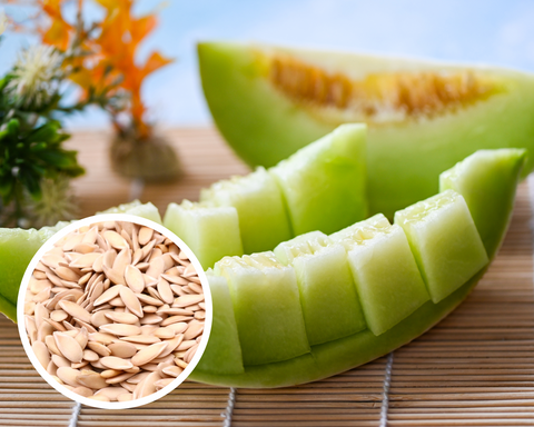 Honeydew Melon Green Flesh Seeds Heirloom Non-GMO (25+ Seeds)