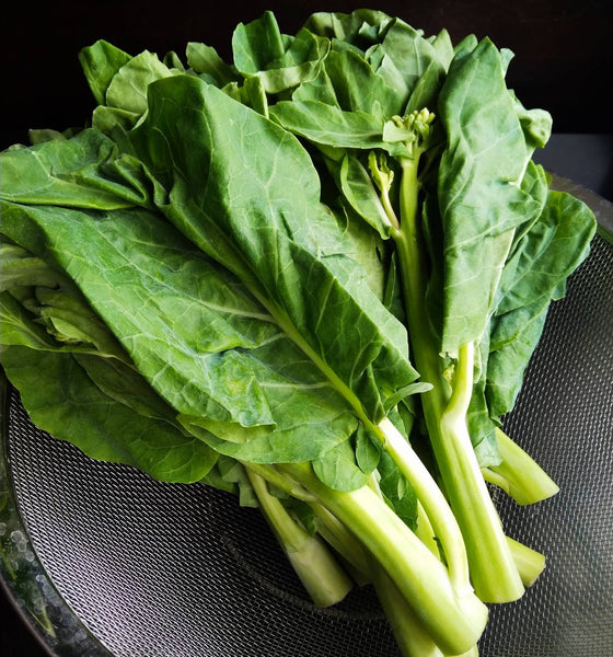 Gai Lan Chinese Broccoli Seeds Heirloom Non-GMO (1200+ Seeds)